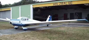 Scheibe SF 25
