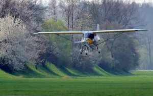C42