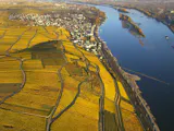 1-stündiger Tragschrauber-Rundflug über Rhein, Taunus oder Rheingau