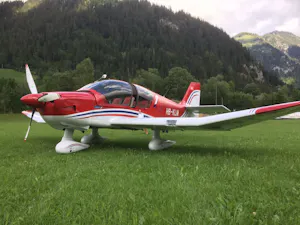 Robin Dr40